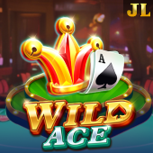 Wild Ace Big Bet game